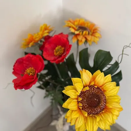 Casa Revolta Apartment *