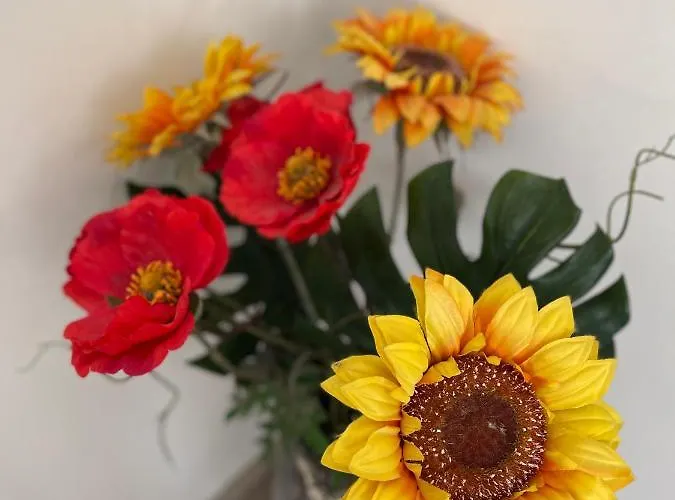 Casa Revolta Apartament *